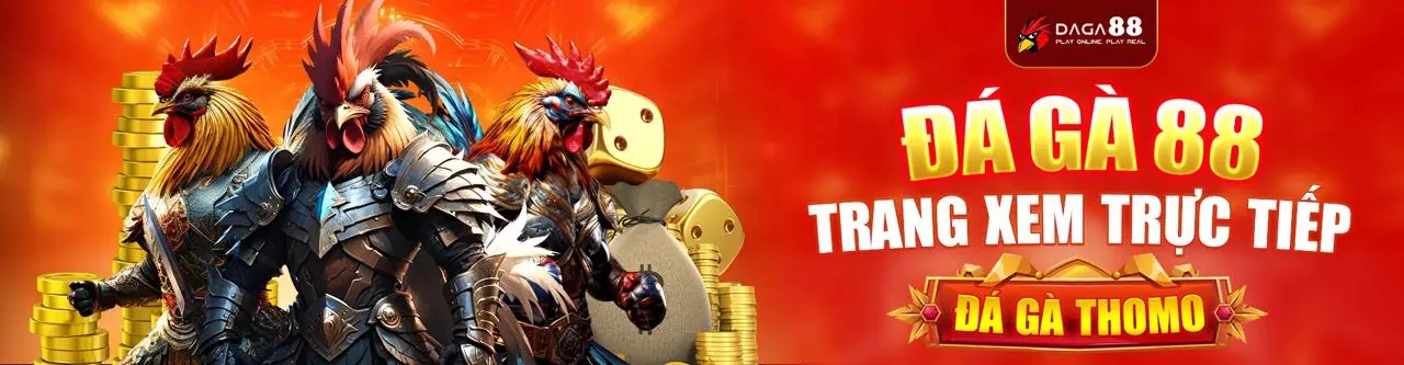 Thể Thao betvision chính thức