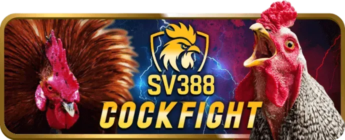 Hỗ trợ khách hàng 24/7 betvision chính thức