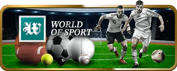 Hỗ Trợ Chuyên Nghiệp Betvision